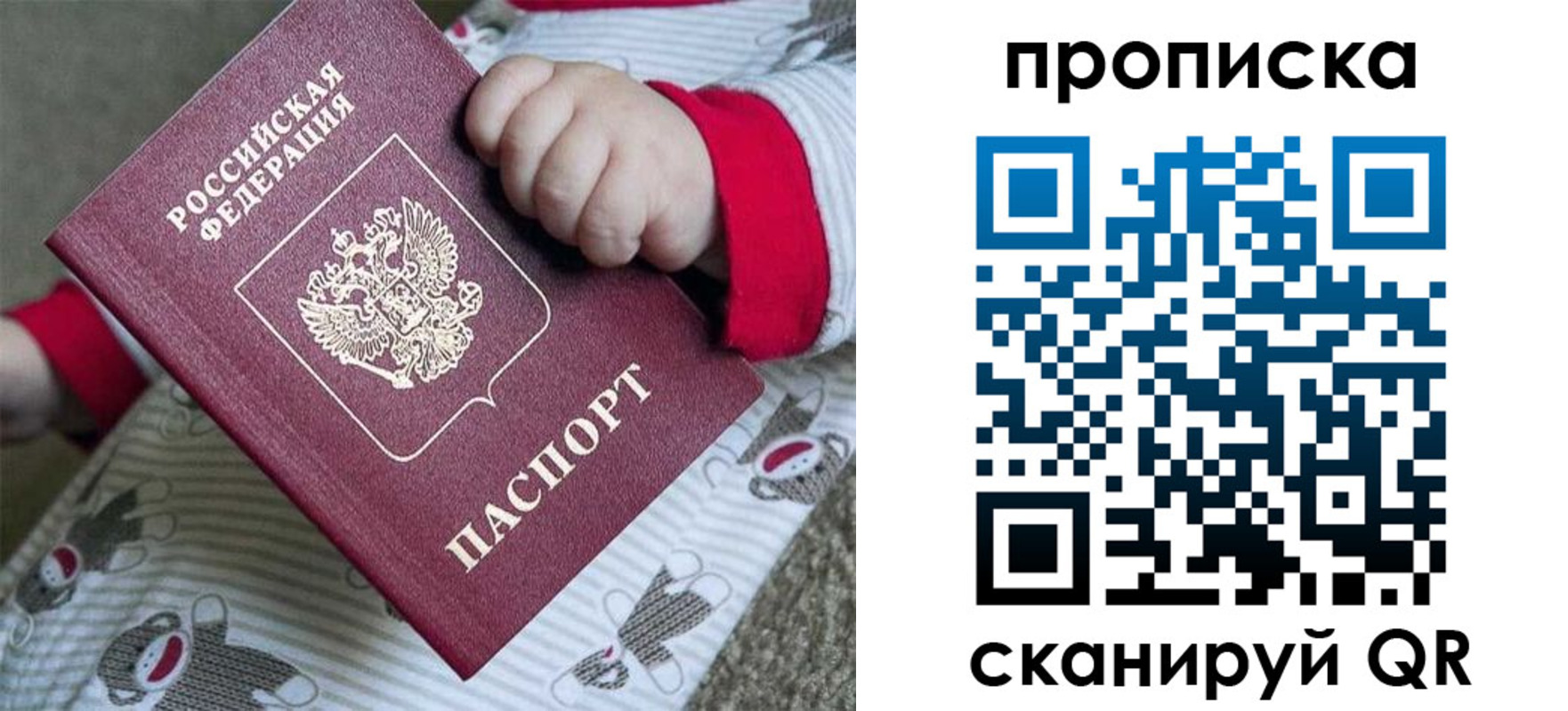 прописка 2025 в Алексине